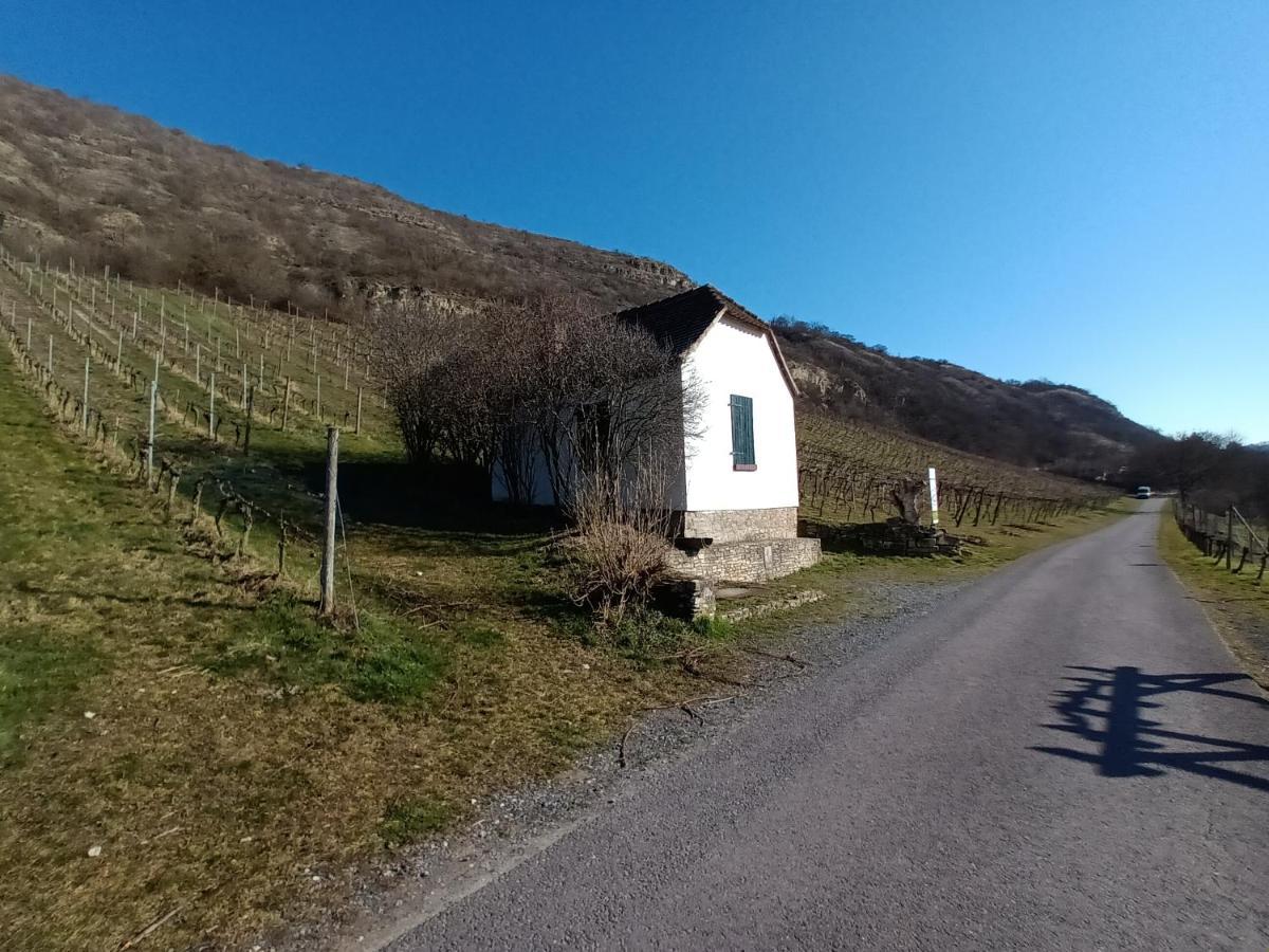 Ferienwohnung Naumburgliebe Наумбург Экстерьер фото